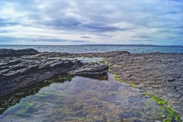 Praktikpladser og virkelighed: Broen mellem skole og arbejdsliv
